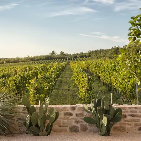 Villa Pula Sleeps 6 Pool Air Con Wifi Bicine
